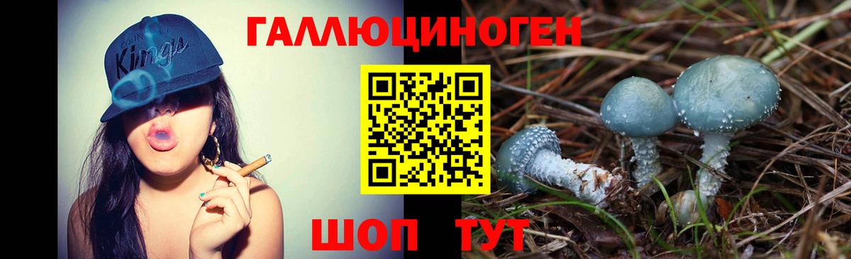 Галлюциногенные грибы Cubensis  Вход с VPN  Новокубанск 